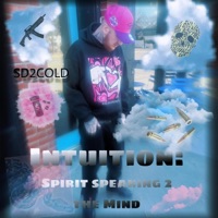 Intuition:Spirit Speaking 2 The Mind - Sd2cold