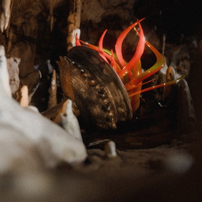 Symbiotic I - VA Compilation - EP