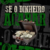 Se o Dinheiro Acabar - Single - MC Thzynho, MC Alê, WL DINIZZ & Dr. Lipe