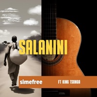 Salanini (feat. King Tsonga) - Single - Simefree