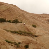 Secrets - Single - Coastal