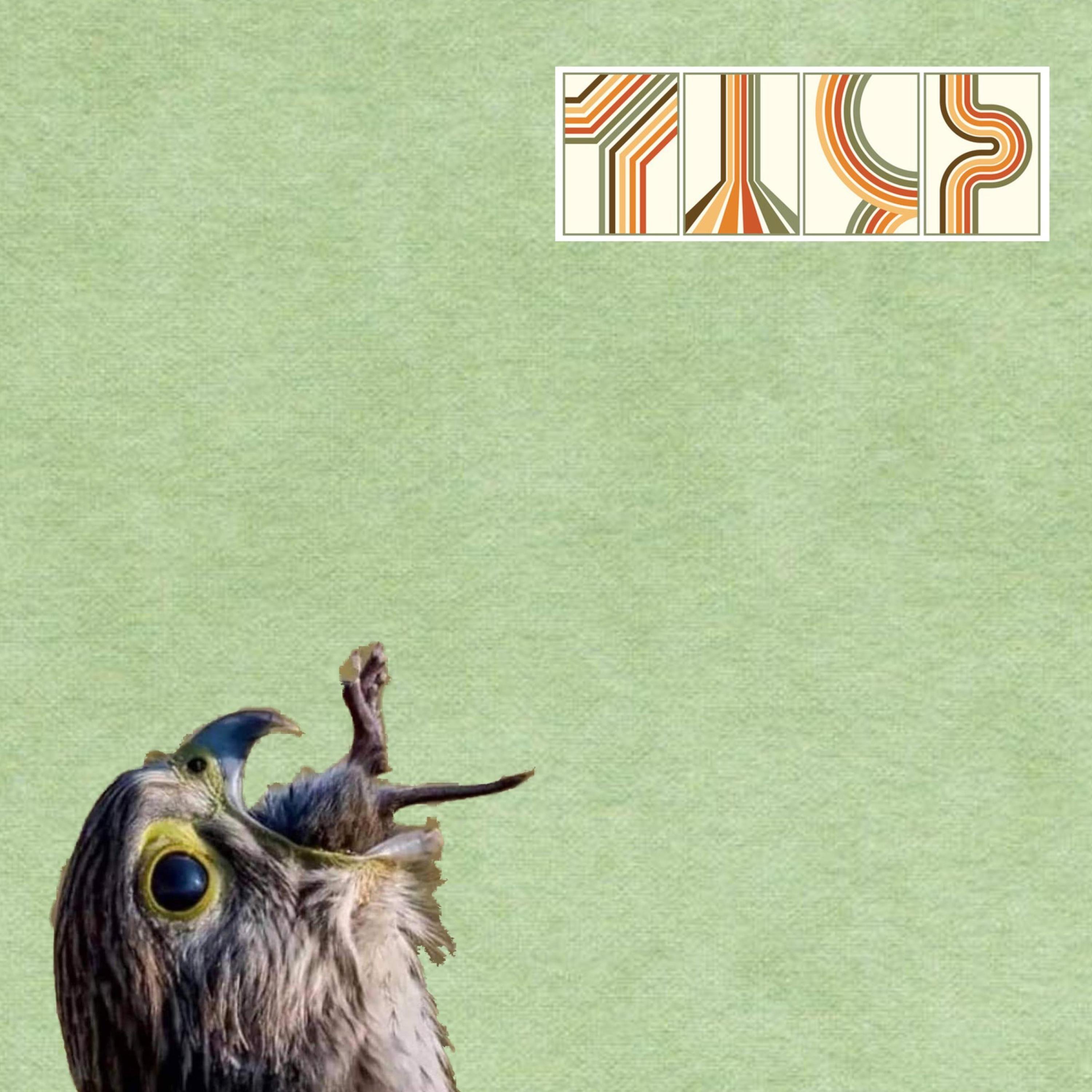 Say Anything You Want - Single