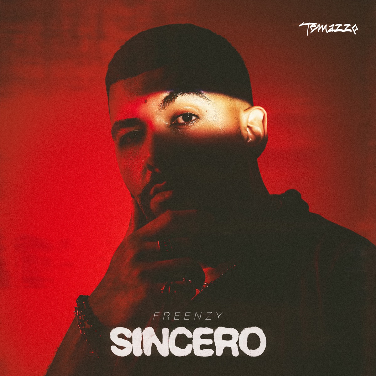 Freenzy Music - Sincero (2026) [iTunes Plus AAC M4A]-新房子