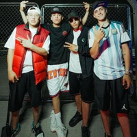 Viral En Tic Tok (feat. Nicky HG, Alan Torres & LCA FLK) - Single - Tomas Morel