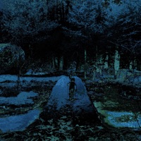 Album cover for wisp by went