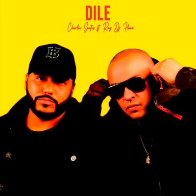 Dile (feat. Ray Dj Flava) - Single