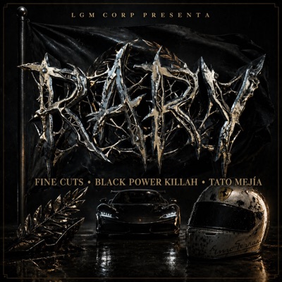 Rary (feat. Black Power Killah & Tato Mejía) - Single