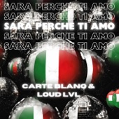 Sarà perché ti amo artwork