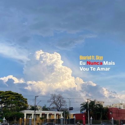 Eu nunca mais vou te amar (feat. Skyy_) - Single