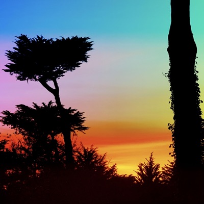 Revenge Bedtime Procrastination - EP