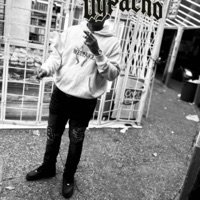 Went Legit Freestyle - Single - PACHO