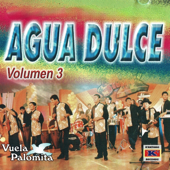 Vuela Palomita, Vol. 3