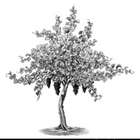 L3ENBA - Single - NumbXiller