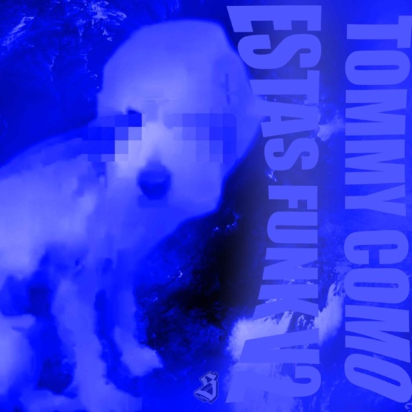 TOMMY COMO ESTAS FUNK V2 - Single