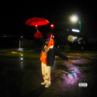 Hope These Feelings Dont Last Forever (feat. Nirvana Nash) - Single - Forever Foy