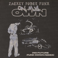 On My Own (No Future Remix Funk Down Remix) - Single - Zackey Force Funk