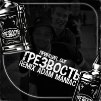 Трезвость (Adam Maniac Remix) - Single - Принцип & Guf