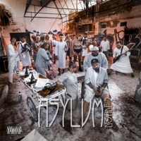 Asylum - Desade