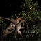 We Could Go (feat. Tilden Parc) - King Sis lyrics