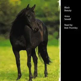 Black Beauty (Unabridged)