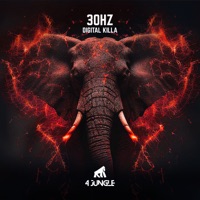 Digital Killa - Single - 30Hz