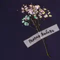 Первая любовь