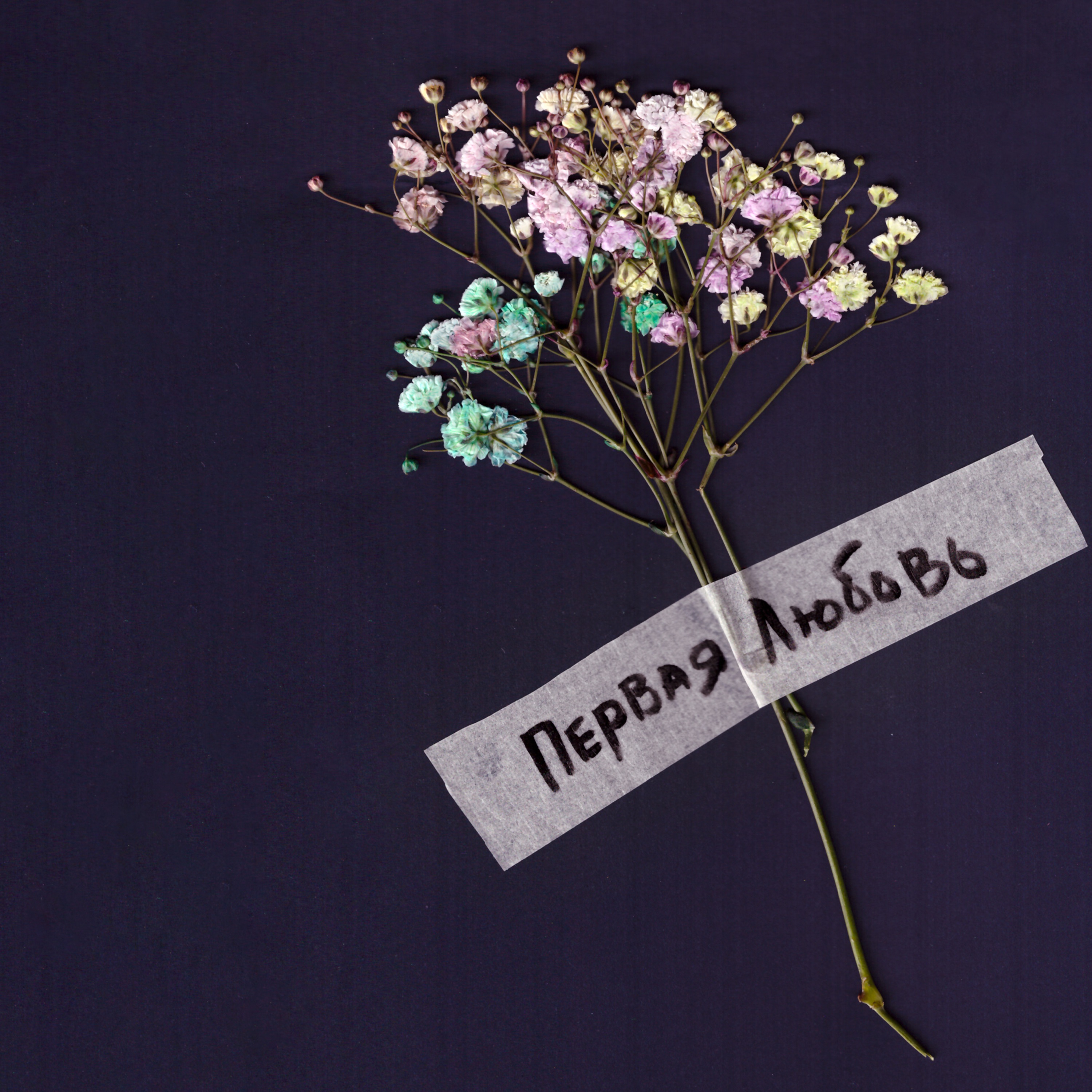 Первая любовь - Single