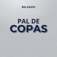Pal De Copas (feat. Stevi Dom) - Single - Big David