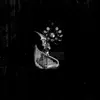 Dimensión Nocturna - El Final