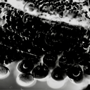 Well Halve Yr Background - Daniel Mudford of Balham