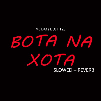 Bota na Xota Slowed + Reverb - Single