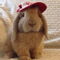 FWB! (feat. Ashgr3y Archive & bluu!) [bluu!’s Version] - Single - Goose News