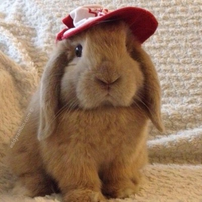 FWB! (feat. Ashgr3y Archive & bluu!) [bluu!’s Version] - Single