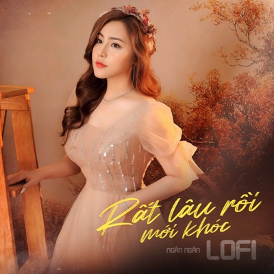 Rất Lâu Rồi Mới Khóc (Lofi) - Single