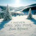 I Never Call You Mine