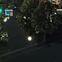 graFFiti (feat. Pradaaslife, Lawliet & Ivolaxi) - Single - sasaeng