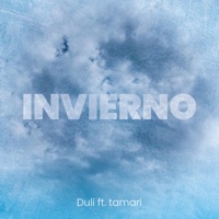 Invierno (feat. tamari) - Single - Duli