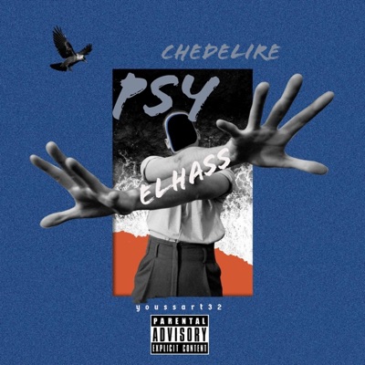 Psychedelire - Single