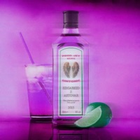 Gintonic (feat. AsTovar) - Single - Edgarkid