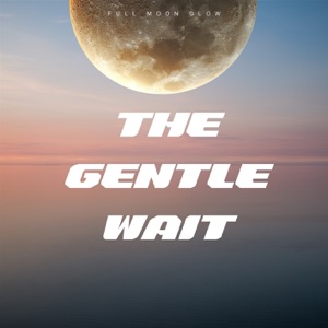 The Gentle Wait
