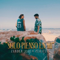 Solo Pienso En Mi (feat. Pericles) - Single - Zander Ground