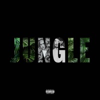 Jungle - Single - Irit, Spack DS & Matej Straka