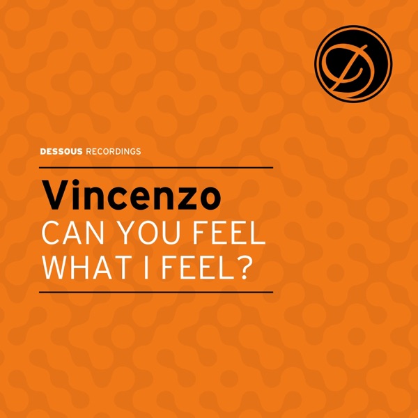 Can You Feel What I Feel - Single