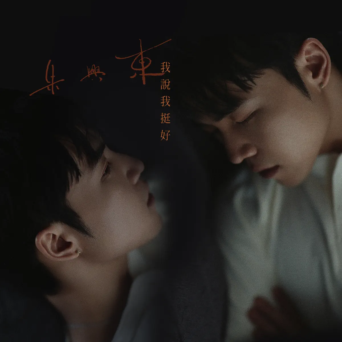 朱興東 - 我說我挺好 - Single (2024) [iTunes Plus AAC M4A]-新房子