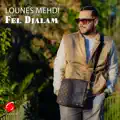 Lounes Mehdi