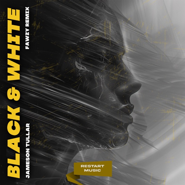 Black & White (FAWZY Remix) - Single
