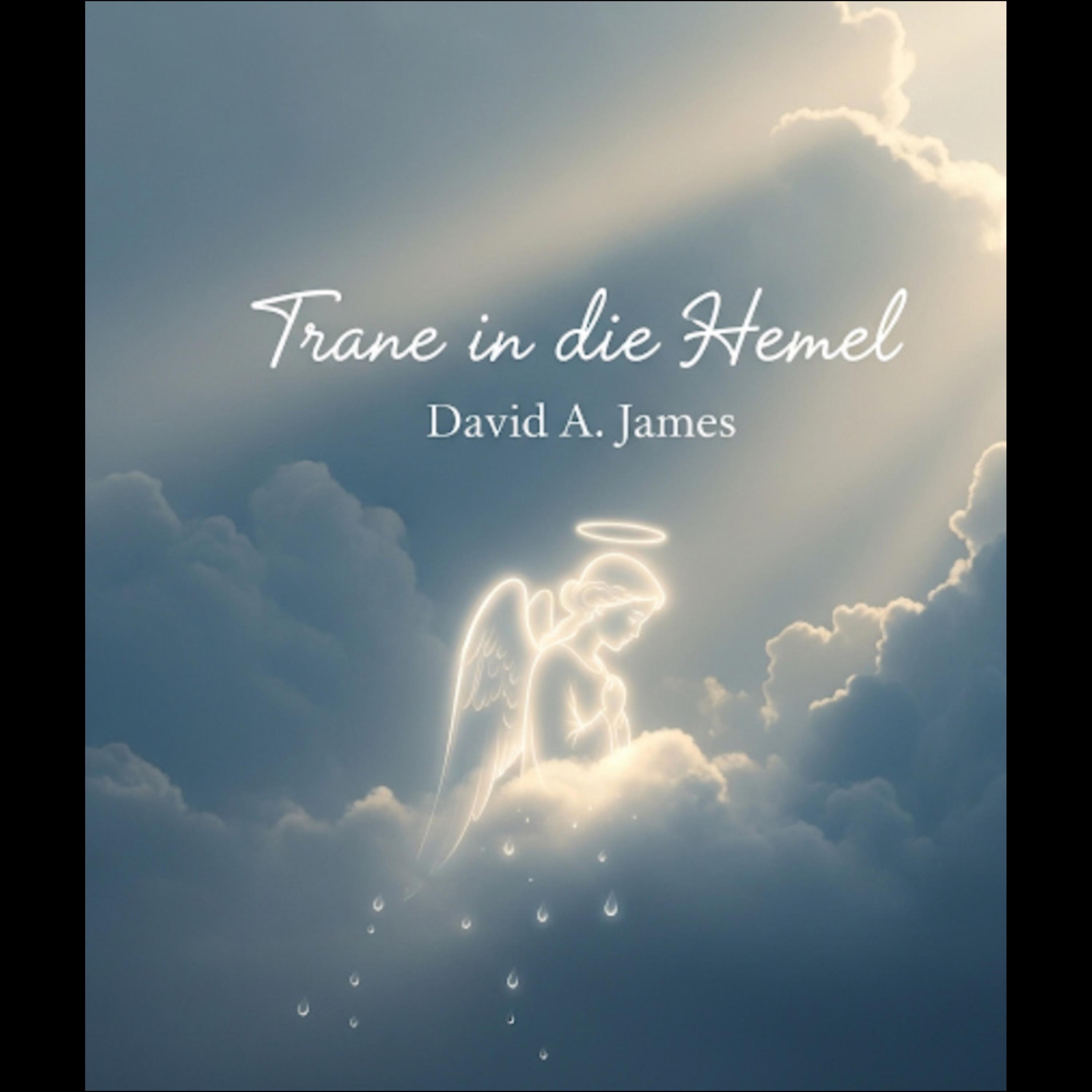 Trane in die Hemel - Single