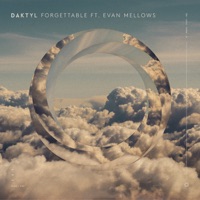 Forgettable (feat. Evan Mellows) - Single - Daktyl