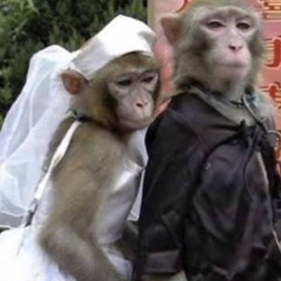 LUV (feat. JAI) - Single