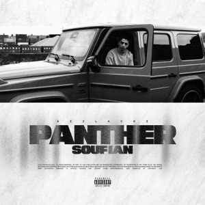 Panther